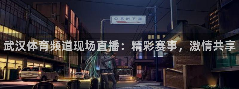武汉体育频道现场直播：精彩赛事，激情共享