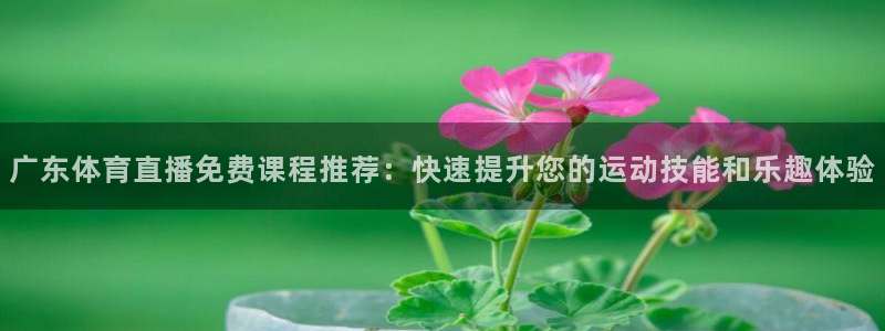 广东体育直播免费课程推荐：快速提升您的运动技能和乐趣体验